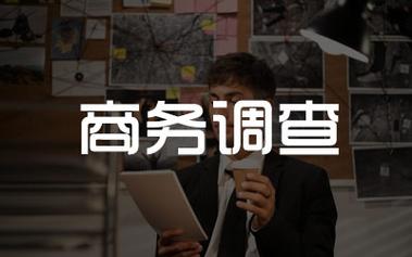 正规商务咨询服务